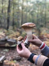 Man holding mushroom growing in forest