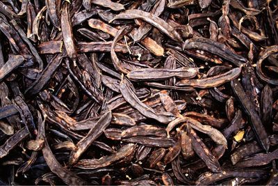 Full frame shot of firewood