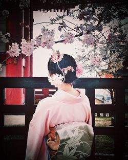 Rear view of japanese woman standing below cherry tree branches