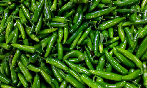 Full frame shot of green chili peppers