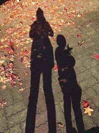 Shadow of people on street during autumn