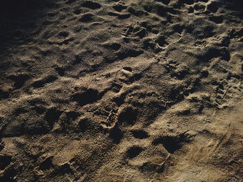 High angle view of footprints on sand at beach