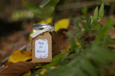 Close-up of text on food jar