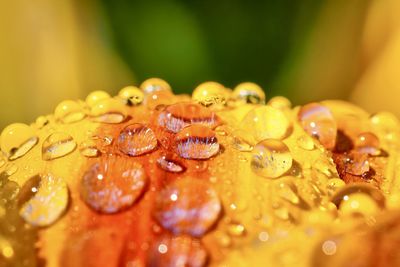 Close-up of wet ice cream