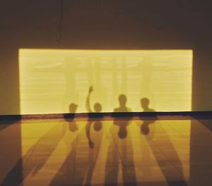 Reflection of shadow on mirror