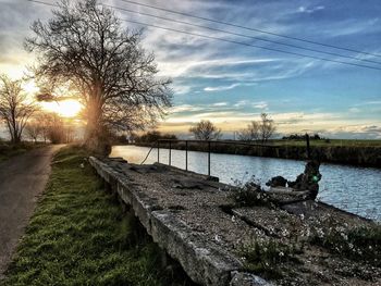 Bare trees by grass against sky during sunset