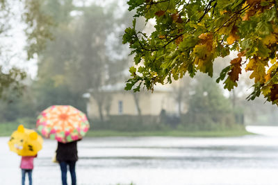 Rear view of woman standing by tree during rainy season