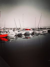 Sailboats moored in harbor