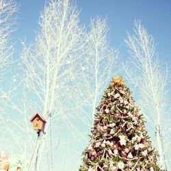 Low angle view of christmas tree against sky during winter