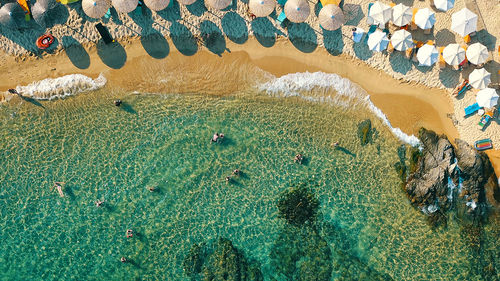 Aerial view of parasols at beach