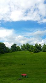 Scenic view of grassy field against sky