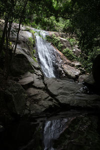 Scenic view of waterfall in forest