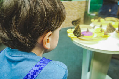 Close-up portrait of boy looking at camera