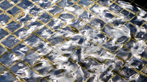 Full frame shot of fish in water