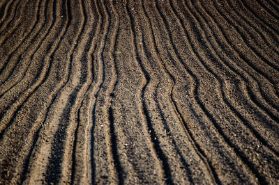 Full frame shot of tire tracks