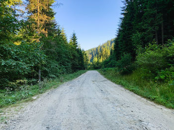 Road amidst trees in forest against sky