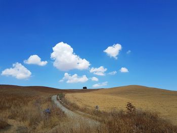 Scenic view of field against blue sky