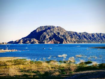 Scenic view of sea against clear blue sky