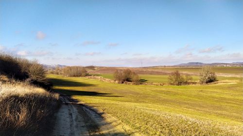 Dirt road amidst field against sky