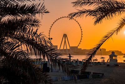 Silhouette palm trees against sky during sunset