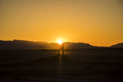 Silhouette man standing on shore against sky during sunset