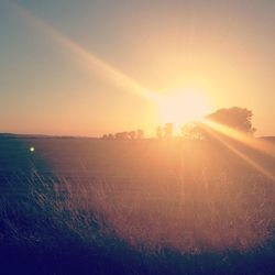 Sun shining through landscape