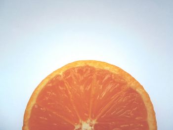 Close-up of food on white background