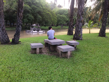 Rear view of man sitting on bench in park