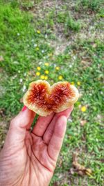 Close-up of hand holding strawberry