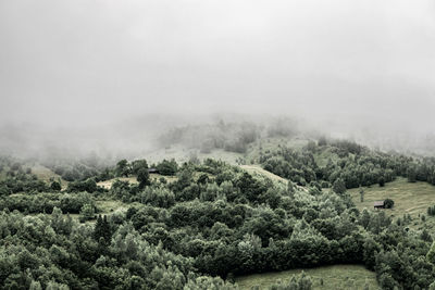 Winter panoramic landscape of a hill forest in moieciu de jos, brasov, transylvania, romania.