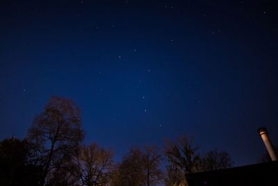 Low angle view of trees against sky at night