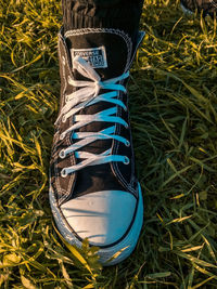 High angle view of shoes on field