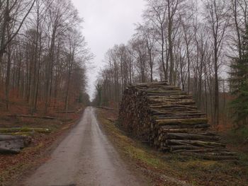Road amidst trees against sky