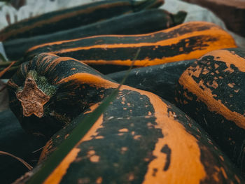 High angle view of bread on wood