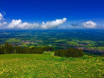 Scenic view of grassy field against sky