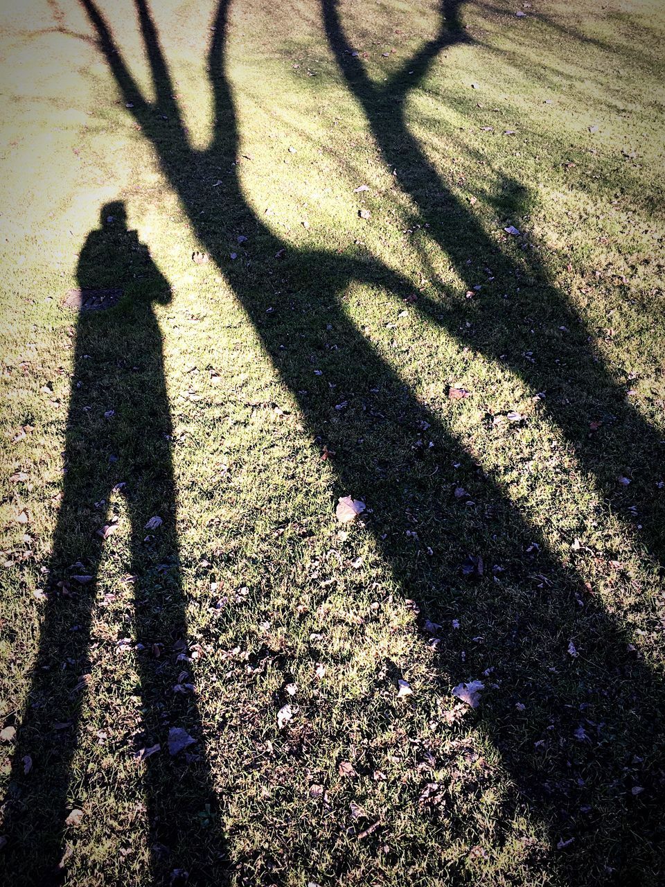 SHADOW OF MAN AND PERSON STANDING ON GRASS