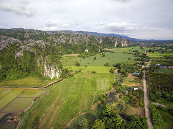 Scenic view of agricultural field against sky