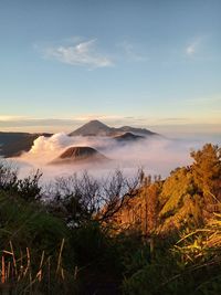 Scenic view of landscape against sky during sunset