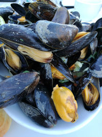 Close-up of food in plate