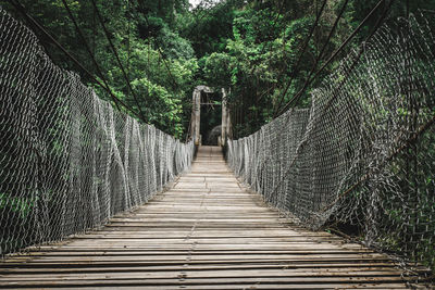 View of footbridge in forest