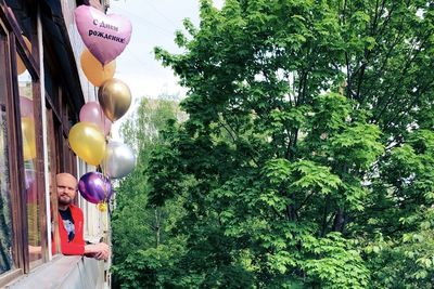 Low angle view of balloons on tree