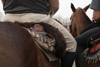 Close-up of polo riders