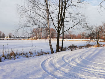 Bare trees on snow covered field against sky