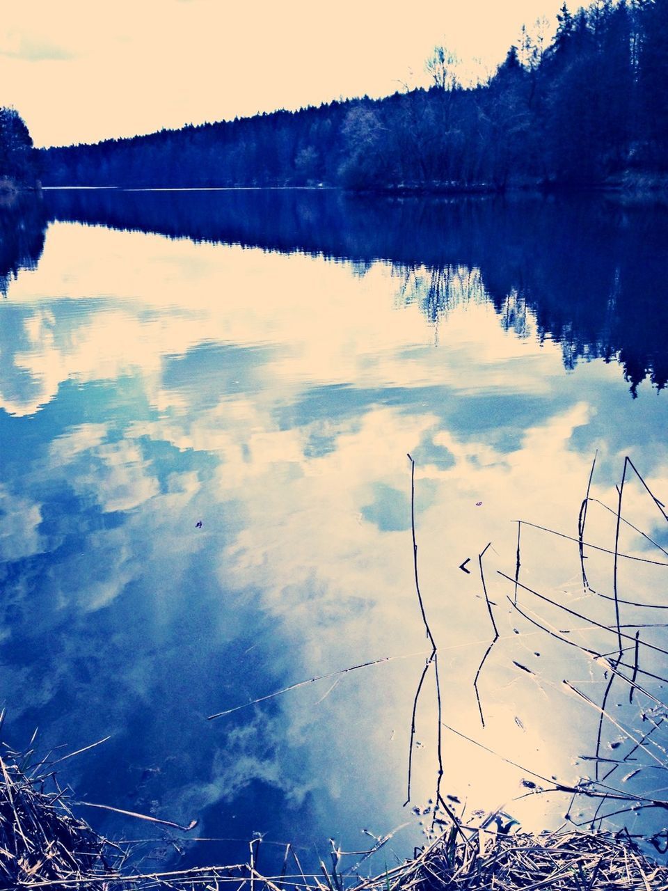 water, reflection, lake, tranquility, tranquil scene, standing water, scenics, sky, beauty in nature, nature, calm, waterfront, river, idyllic, outdoors, tree, connection, no people, blue, cloud - sky