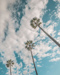 Low angle view of coconut palm tree against sky