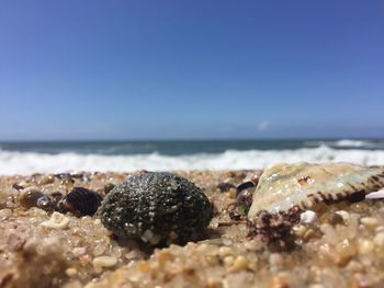 Surface level of pebble beach against sky