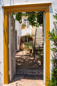 Plants growing outside house