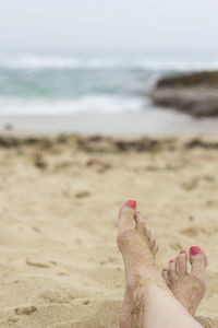 Scenic view of beach