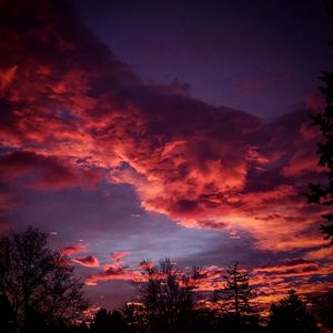 Low angle view of silhouette trees against sky at sunset