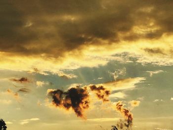 Dog against sky during sunset